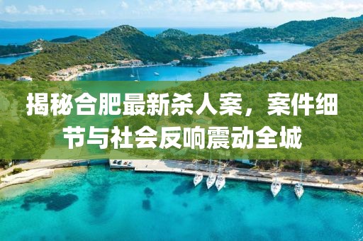 揭秘合肥最新杀人案，案件细节与社会反响震动全城