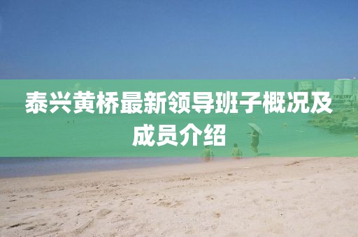 泰兴黄桥最新领导班子概况及成员介绍