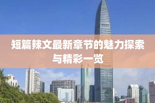 短篇辣文最新章节的魅力探索与精彩一览