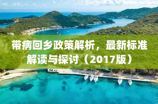 带病回乡政策解析，最新标准解读与探讨（2017版）