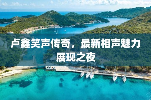 卢鑫笑声传奇，最新相声魅力展现之夜