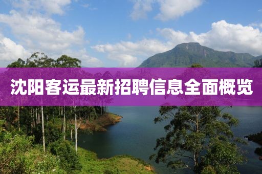 沈阳客运最新招聘信息全面概览