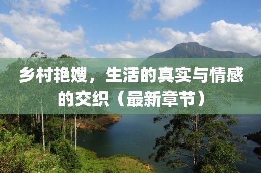乡村艳嫂，生活的真实与情感的交织（最新章节）