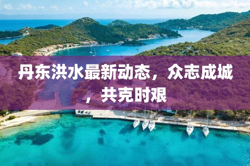 丹东洪水最新动态，众志成城，共克时艰