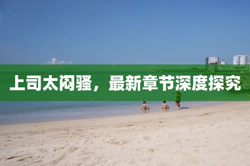 上司太闷骚，最新章节深度探究