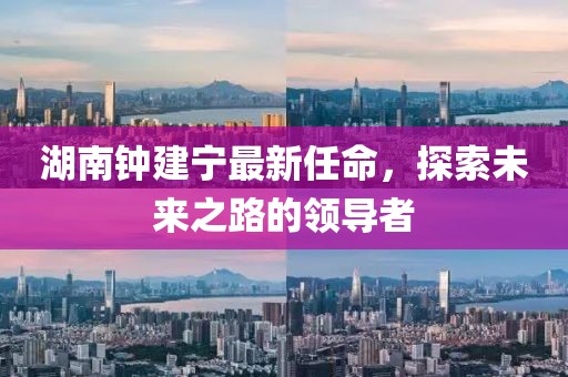 湖南钟建宁最新任命，探索未来之路的领导者