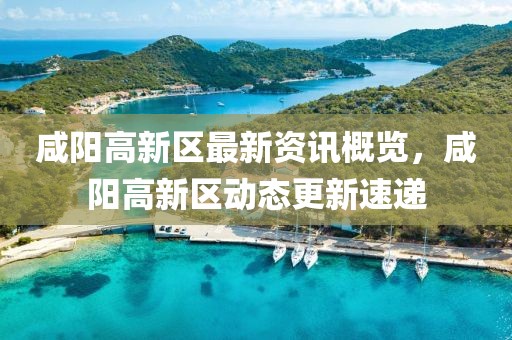 咸阳高新区最新资讯概览，咸阳高新区动态更新速递