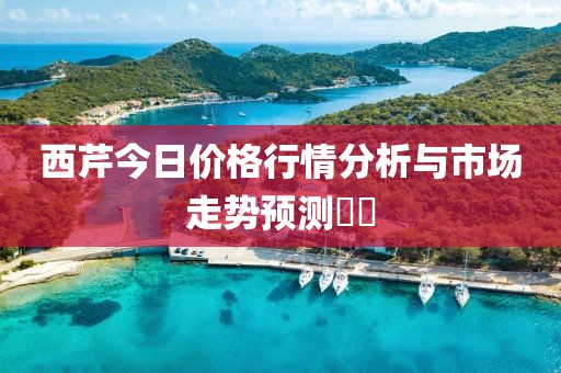 西芹今日价格行情分析与市场走势预测​​
