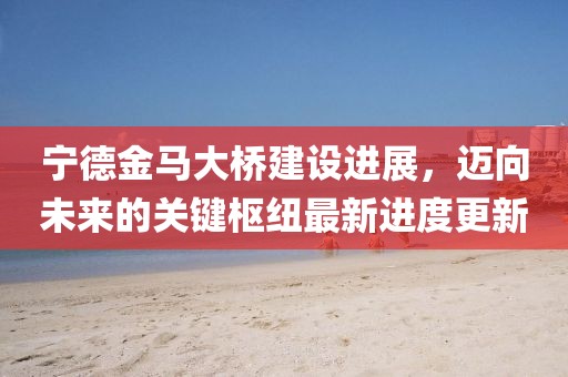 宁德金马大桥建设进展，迈向未来的关键枢纽最新进度更新