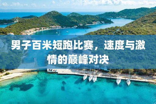 男子百米短跑比赛，速度与激情的巅峰对决