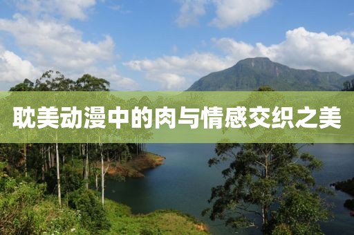 耽美动漫中的肉与情感交织之美