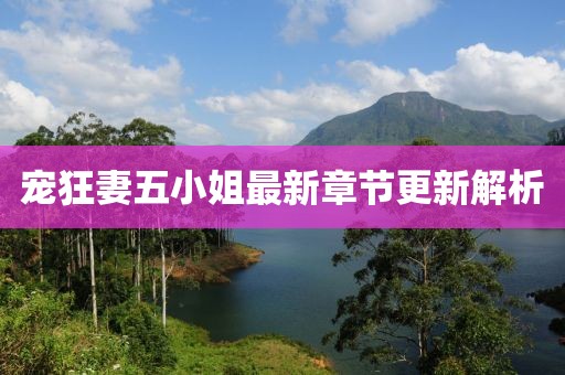宠狂妻五小姐最新章节更新解析
