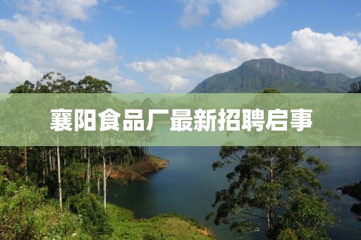 襄阳食品厂最新招聘启事