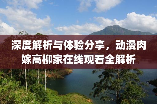 深度解析与体验分享，动漫肉嫁高柳家在线观看全解析