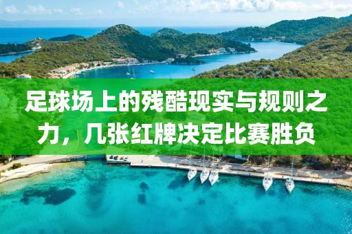 足球场上的残酷现实与规则之力，几张红牌决定比赛胜负