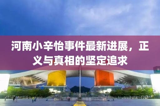 河南小辛怡事件最新进展，正义与真相的坚定追求