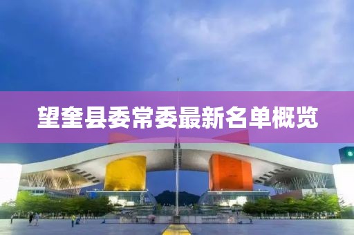 望奎县委常委最新名单概览
