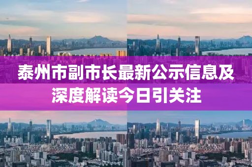 泰州市副市长最新公示信息及深度解读今日引关注