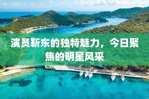 演员靳东的独特魅力，今日聚焦的明星风采