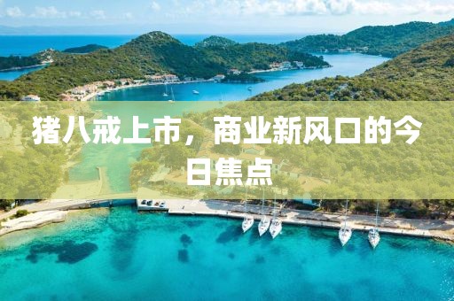 猪八戒上市，商业新风口的今日焦点