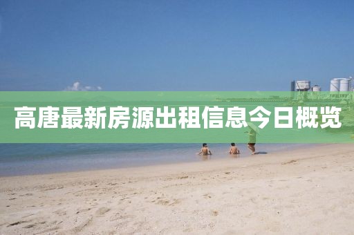 高唐最新房源出租信息今日概览