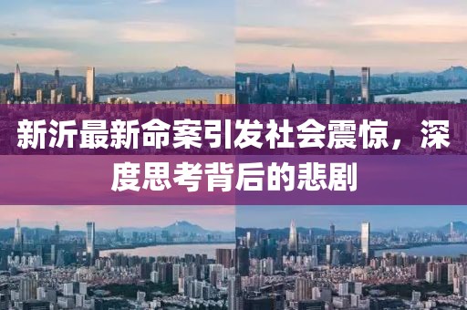 新沂最新命案引发社会震惊，深度思考背后的悲剧