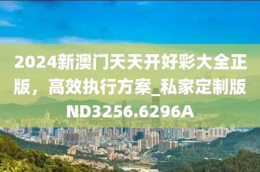 2024新澳门天天开好彩大全正版，高效执行方案_私家定制版ND3256.6296A