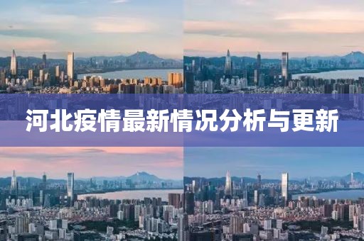 河北疫情最新情况分析与更新