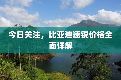 过分伤痛 第4页