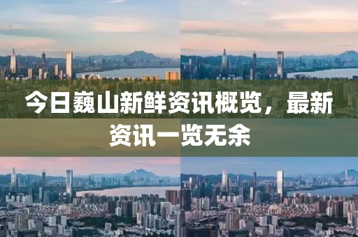 今日巍山新鲜资讯概览，最新资讯一览无余