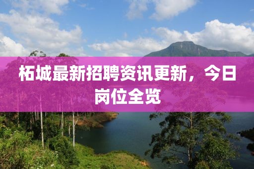 柘城最新招聘资讯更新，今日岗位全览