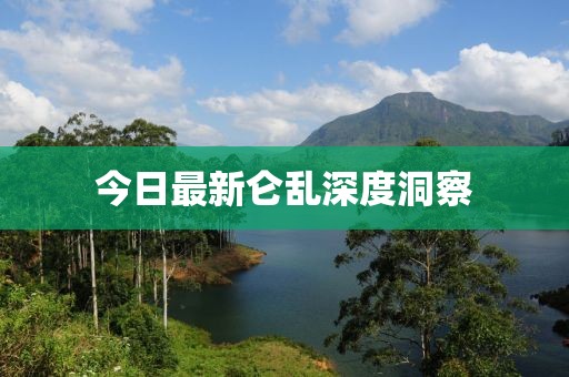 今日最新仑乱深度洞察