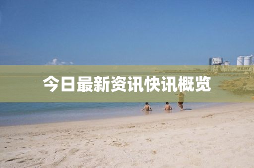 今日最新资讯快讯概览