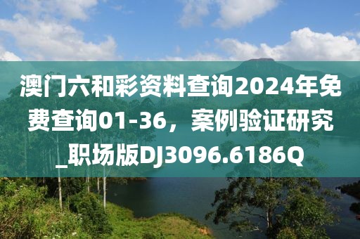 澳门六和彩资料查询2024年免费查询01-36，案例验证研究_职场版DJ3096.6186Q