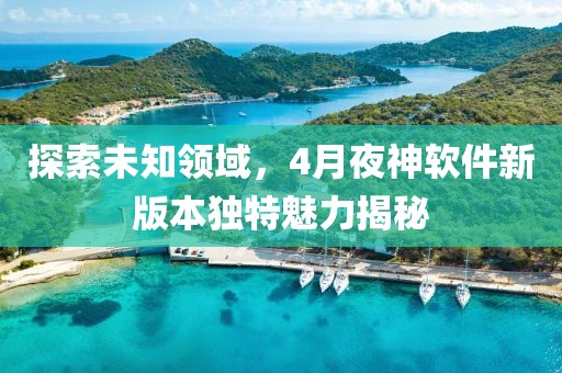 远行de风 第4页