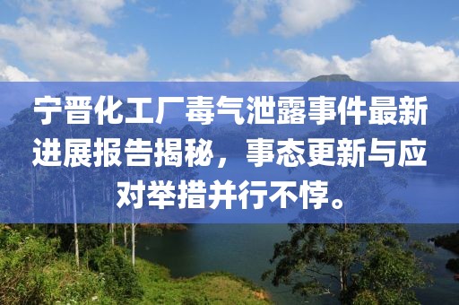 宁晋化工厂毒气泄露事件最新进展报告揭秘，事态更新与应对举措并行不悖。