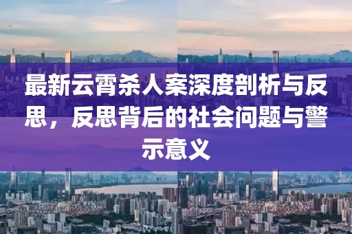最新云霄杀人案深度剖析与反思，反思背后的社会问题与警示意义