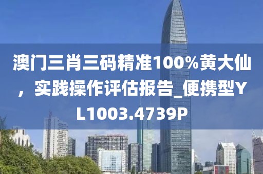 澳门三肖三码精准100%黄大仙，实践操作评估报告_便携型YL1003.4739P