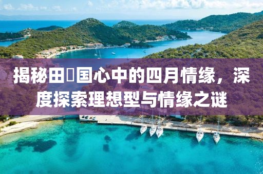揭秘田柾国心中的四月情缘，深度探索理想型与情缘之谜