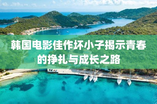韩国电影佳作坏小子揭示青春的挣扎与成长之路