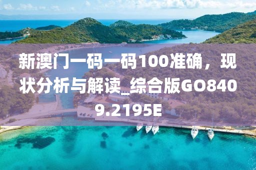 新澳门一码一码100准确，现状分析与解读_综合版GO8409.2195E