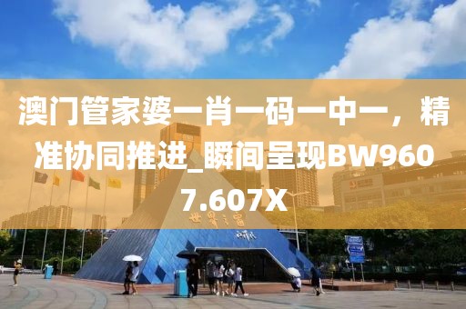 澳门管家婆一肖一码一中一，精准协同推进_瞬间呈现BW9607.607X