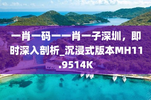 一肖一码一一肖一子深圳，即时深入剖析_沉浸式版本MH11.9514K