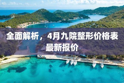 全面解析，4月九院整形价格表最新报价