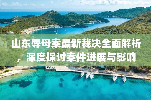 山东辱母案最新裁决全面解析，深度探讨案件进展与影响