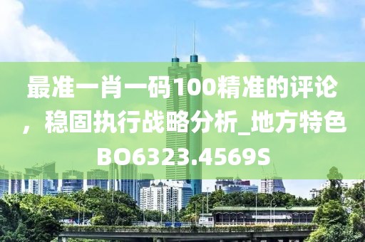 最准一肖一码100精准的评论，稳固执行战略分析_地方特色BO6323.4569S