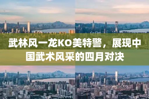 武林风一龙KO美特警，展现中国武术风采的四月对决