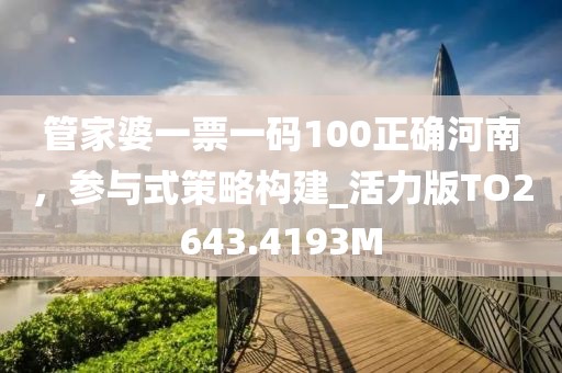 管家婆一票一码100正确河南，参与式策略构建_活力版TO2643.4193M