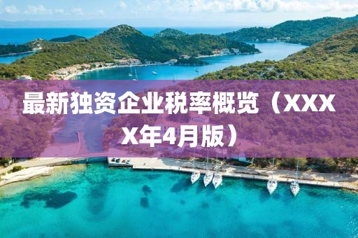 最新独资企业税率概览（XXXX年4月版）