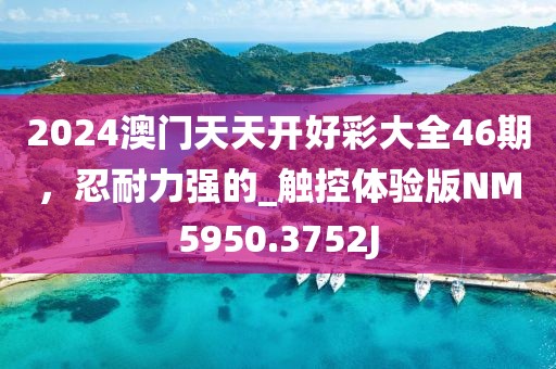 2024澳门天天开好彩大全46期，忍耐力强的_触控体验版NM5950.3752J